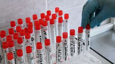 Қызылордада коронавирус инфекциясын жұқтырғандар 104 адамға жетті