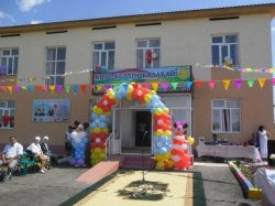 Қызылордадағы балабақшада жастық ішінен құрт тәрізді жәндік табылды