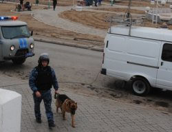 Иісшіл иттер 70 қылмыстың бетін ашты