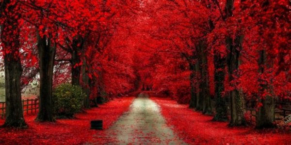 Табиғаттың тосын құбылыстары (11 СУРЕТ)