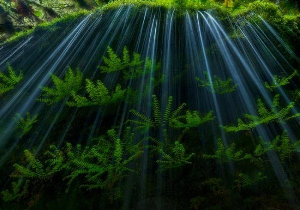 Табиғаттың тосын құбылыстары (11 СУРЕТ)