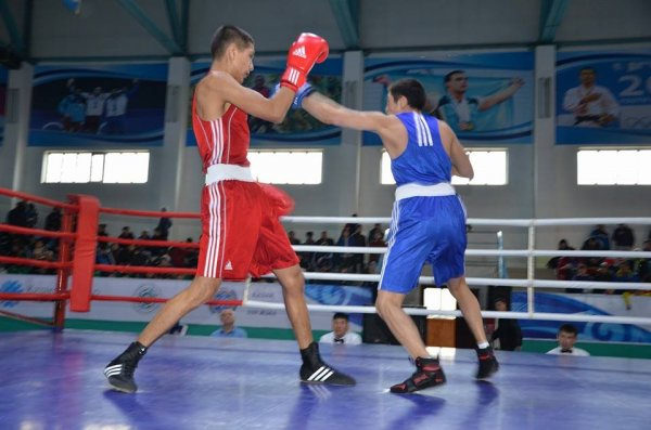 Бокс турнирінен фоторепортаж