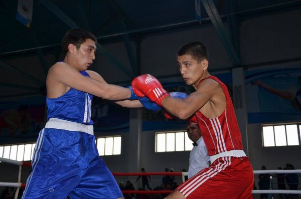 Бокс турнирінен фоторепортаж