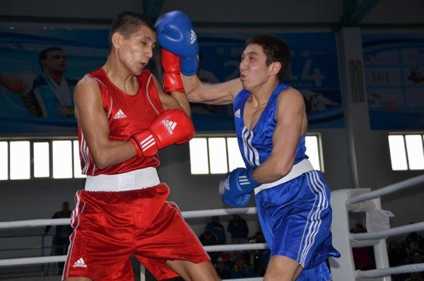 Бокс турнирінен фоторепортаж