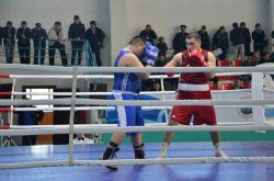 Қызылордада Қазақстанның үздік боксшылары анықталды