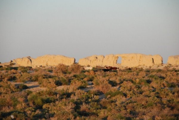 Қазалыда туристік кластерді дамытуға басымдық берілмек