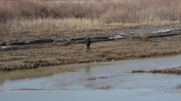 Қызылордалық бойжеткен неге аралда қалып қойды?