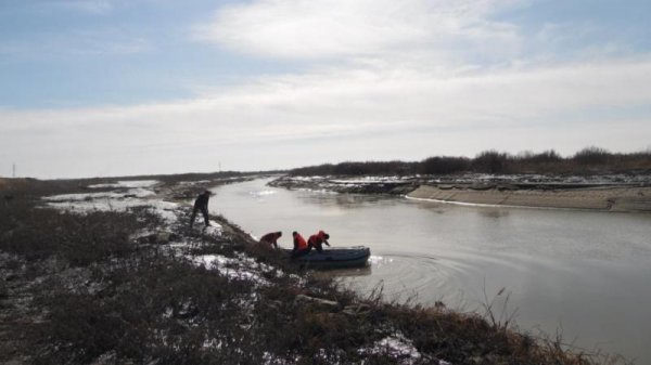 Қызылордалық бойжеткен неге аралда қалып қойды?