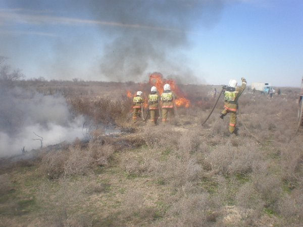 Орманды даланың «өртін» сөндірді