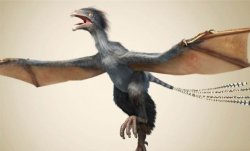 Қытайдан жарқанатқа ұқсас динозавр табылды