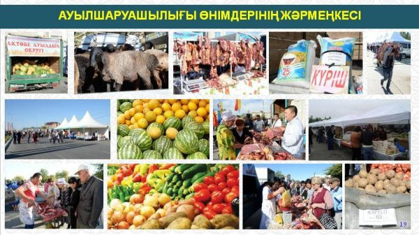 ҚЫЗЫЛОРДА ҚАЛАСЫНДАҒЫ АУЫЛ ШАРУАШЫЛЫҒЫНЫҢ ЖАЛПЫ ӨНІМІ АРТТЫ