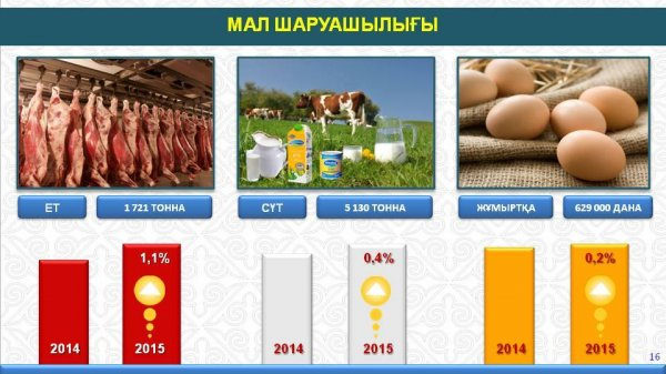 ҚЫЗЫЛОРДА ҚАЛАСЫНДАҒЫ АУЫЛ ШАРУАШЫЛЫҒЫНЫҢ ЖАЛПЫ ӨНІМІ АРТТЫ