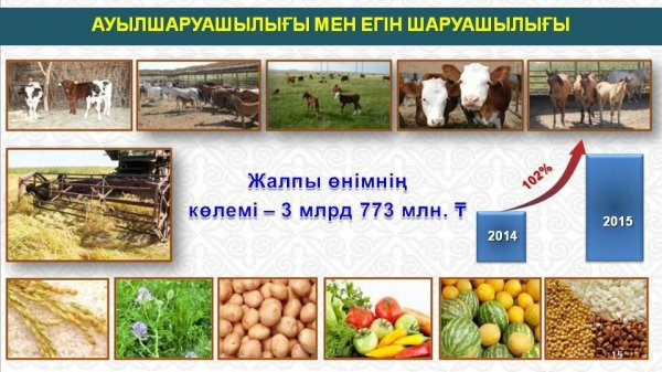 ҚЫЗЫЛОРДА ҚАЛАСЫНДАҒЫ АУЫЛ ШАРУАШЫЛЫҒЫНЫҢ ЖАЛПЫ ӨНІМІ АРТТЫ