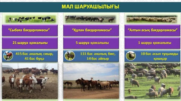 ҚЫЗЫЛОРДА ҚАЛАСЫНДАҒЫ АУЫЛ ШАРУАШЫЛЫҒЫНЫҢ ЖАЛПЫ ӨНІМІ АРТТЫ