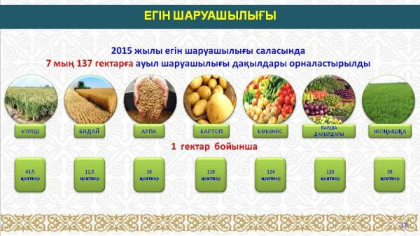 ҚЫЗЫЛОРДА ҚАЛАСЫНДАҒЫ АУЫЛ ШАРУАШЫЛЫҒЫНЫҢ ЖАЛПЫ ӨНІМІ АРТТЫ