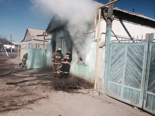 ҚЫЗЫЛОРДАДА 11 ЖАСАР ҚЫЗ БАУЫРЛАРЫН ӨРТТЕН ҚҰТҚАРДЫ