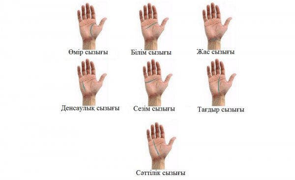 АЛАҚАНЫҢЫЗДАҒЫ СЫЗЫҚТАР ӨМІРІҢІЗДЕН СЫР ШЕРТЕДІ