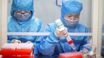В Кызылорде число выздоровевших от коронавируса достигло 24 человека