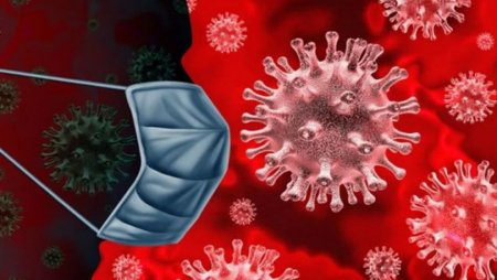 За последние сутки у 4 человек выявлена эпидемия коронавируса