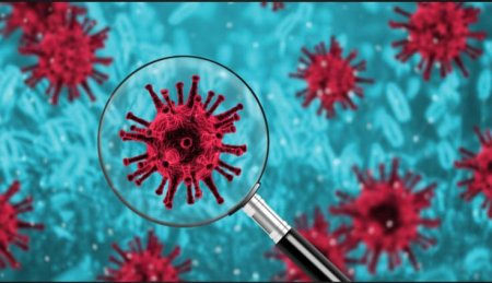 Қызылордада соңғы тәулікте  3 адам коронавирус инфекциясына шалдықты