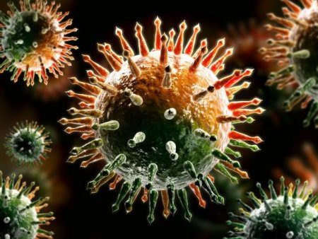 Қызылордада өткен тәулікте 14 адам короанвирус жұқтырды