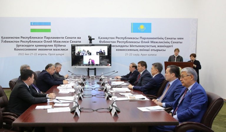 Қазақстан және Өзбекстан сенаторлары Арал мәселесін талқылады