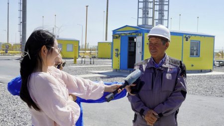 Өндірісі өркенді, кәсібі берекелі Жаңақорған