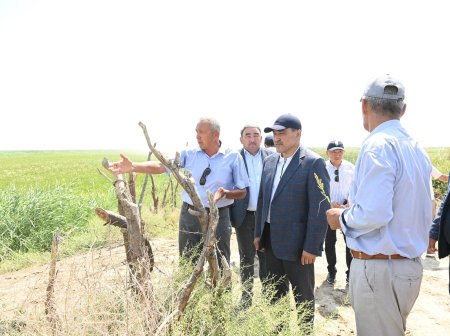 Нұржан Нұржігітов Сыр елінде егіс алқаптарының жағдайымен танысты
