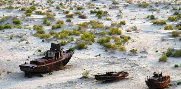 Халықаралық экология саммитінде Арал мәселесі талқыланады – Президент