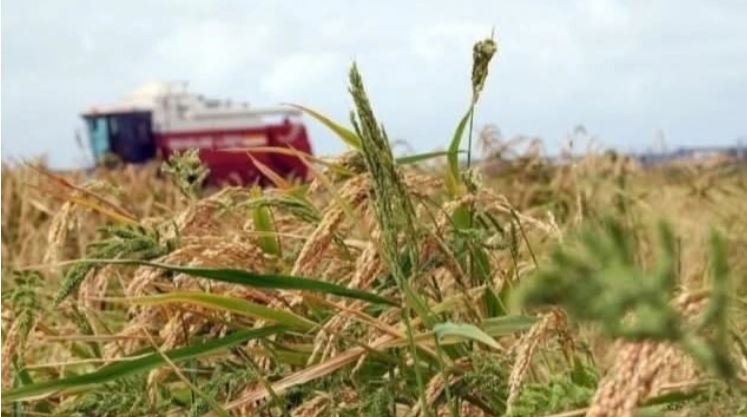 Сыр бойы нағыз еңбек адамдарының мекені — Мемлекет басшысы