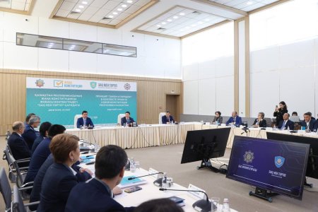 Конституциялық реформа контекстіндегі «Заң мен тәртіп» қағидаты