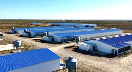 Жаңақорғанда құс фабрикасы іске қосылатын болады