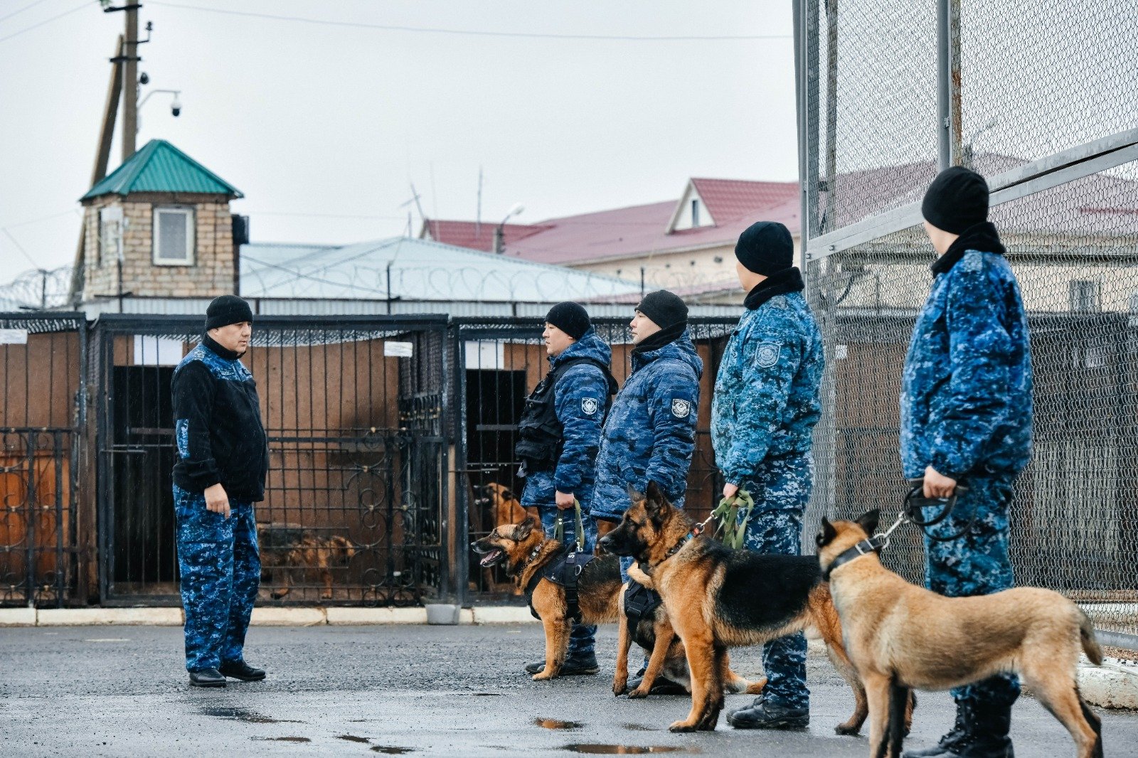 Полицейлердің сенімді серіктері