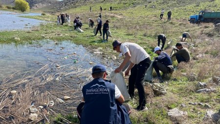 Жаңақорған жастары табиғат тазалығына үлес қосты