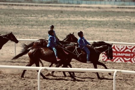 Сыр елінде бәйгеден Қазақстан чемпионаты өтті